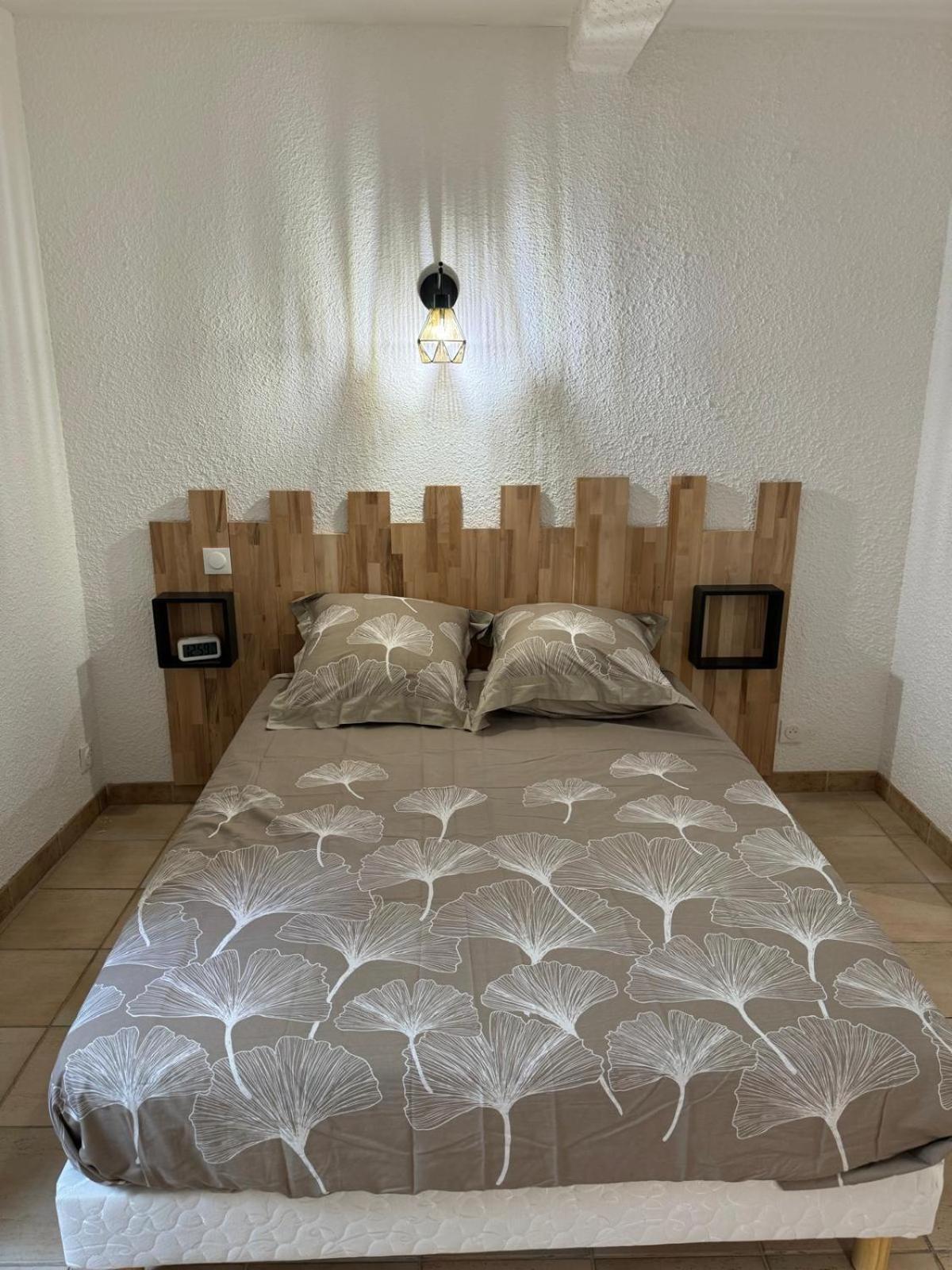 Charmant Appartement En Hypercentre De Castelnaudary Zewnętrze zdjęcie